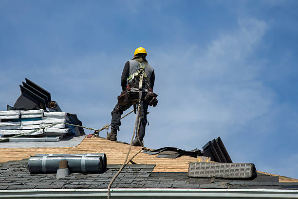 Professional Roof Replacement technician working in De Witt, NE